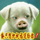 被做成表情包的恐怖片6 被做成表情包的恐怖片6