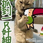 经典表情包魔性bgm13