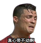 恶搞刘涛表情包1 恶搞刘涛表情包1