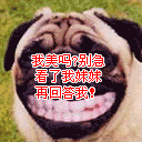 推荐10张鸡蛋的好看的表情5