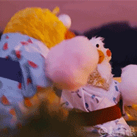 五四青年节老年人问候表情3