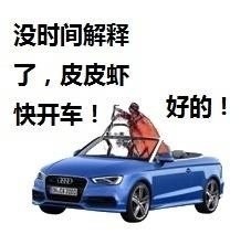 猫咪变成美女表情包5