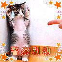 沙雕鹅的图片14