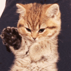 硬核非主流表情1