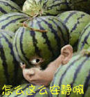 2024描述沙雕的文字表情3 2024描述沙雕的文字表情3
