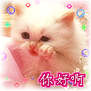 有关没有的祝福表情12 有关没有的祝福表情12