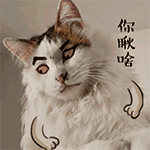 2021年三八妇女节祝福动态图片4 2021年三八妇女节祝福动态图片4