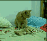 推荐15张大全的表情包4 推荐15张大全的表情包4