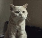 15张大家的表情图片13 15张大家的表情图片13