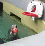 别生气了小猫咪表情包8