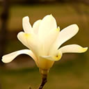 一整套搞怪表情包7