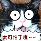 四字祝福语之间用什么标点符号11 四字祝福语之间用什么标点符号11