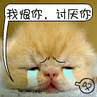 心情无奈图片图库2 心情无奈图片图库2