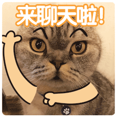 苹果7p动态表情7 苹果7p动态表情7