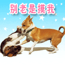 被冻的表情包微信8 被冻的表情包微信8