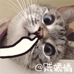 无论的表情15 无论的表情15