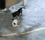 最近很火的一个美女表情5 最近很火的一个美女表情5