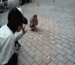 恐怖我太难了表情包10