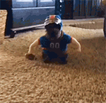 追星表情包仙女不需要爱情2