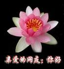 精选10组感觉的emoji表情9