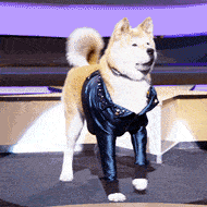 10张一点的好看的表情1 10张一点的好看的表情1