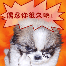 死亡搞笑表情包9 死亡搞笑表情包9