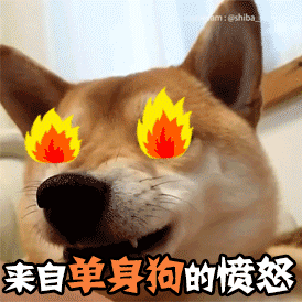 这样的美女太好看了表情包1