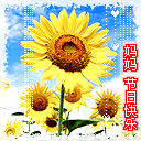 动漫表情包神回复11 动漫表情包神回复11