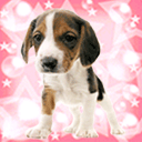 感动的颜文字表情符号6