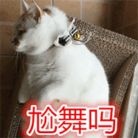 动漫西游记表情包搞笑7