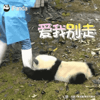 酣然入睡滑稽表情5