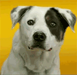 失望表情动图12 失望表情动图12