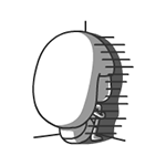 美女动情的面部表情4 美女动情的面部表情4