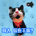 一群人围观炸弹表情包8