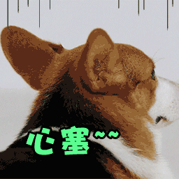 西装帅哥撩妹表情包6