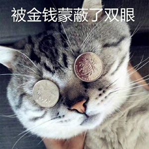 崩坏三沙雕动态图6 崩坏三沙雕动态图6