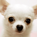 斗破苍穹暴走图片5 斗破苍穹暴走图片5