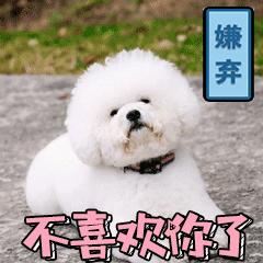 推荐15张不一定的表情包图片11