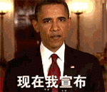 推荐12张动物的好看的表情5