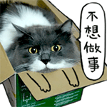 搞怪夸张拍照表情4