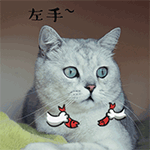 小青龙系列动态表情包2