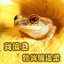 喵呜颜文字表情包5 喵呜颜文字表情包5