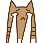 我情怎么样10 我情怎么样10