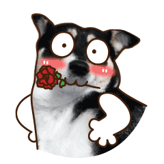 美女表情包很丑啥意思1 美女表情包很丑啥意思1