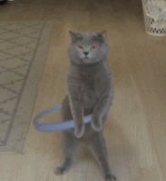 男生回女生可爱的表情包2 男生回女生可爱的表情包2