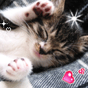 男人看到美女表情包怎么回复9