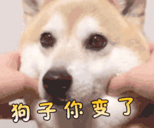 女朋友来大姨妈时的表情包11