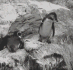 清平乐六盘山的六盘山是什么意思6