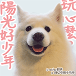 沙雕的表情大全2