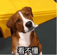 求美女原谅我这一次表情包7